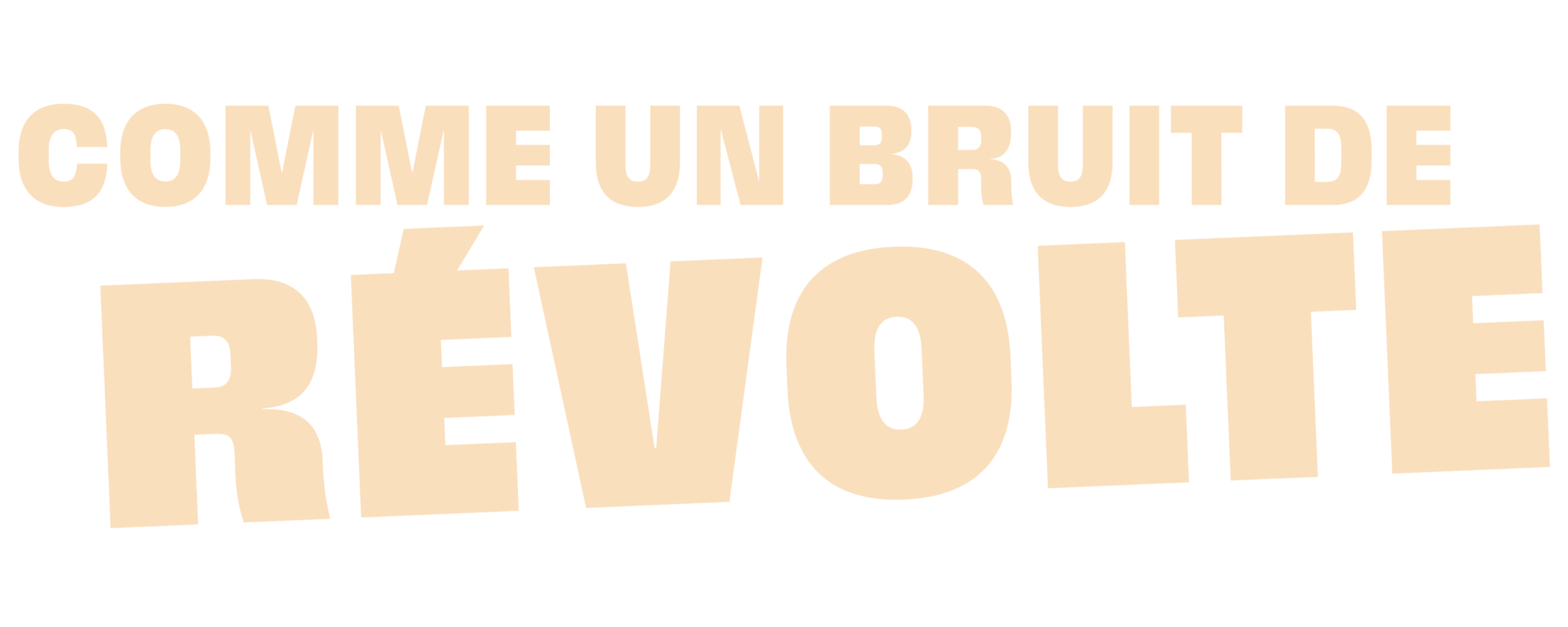 Comme un bruit de révolte